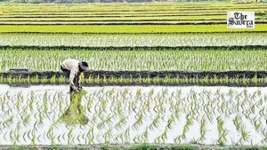 PM-AASHA Boosts Farmer Incomes