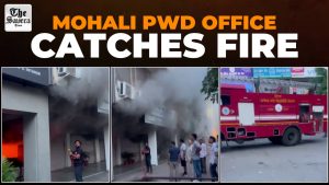 Mohali PWD Office Fire: Blaze Breaks Out in Phase 2, Furniture Damaged