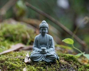 METTA IN SMALL MOMENTS: THE QUIET POWER OF MICROKINDNESS