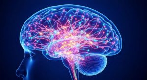 THE MAGICAL BRAIN THAT  BECOMES WHAT IT WORSHIPS
