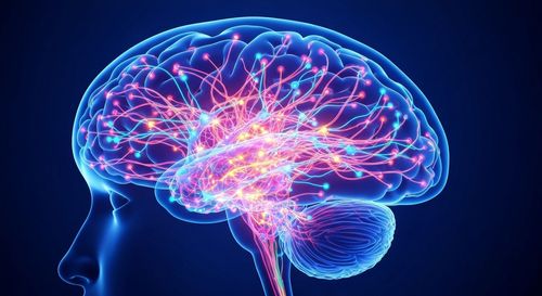 THE MAGICAL BRAIN THAT  BECOMES WHAT IT WORSHIPS