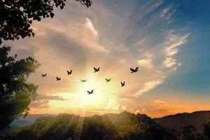 DTE: The Art of Living with Awareness