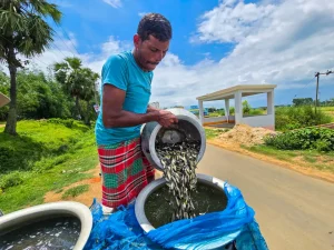 Boost Shot for India’s Fisheries Sector