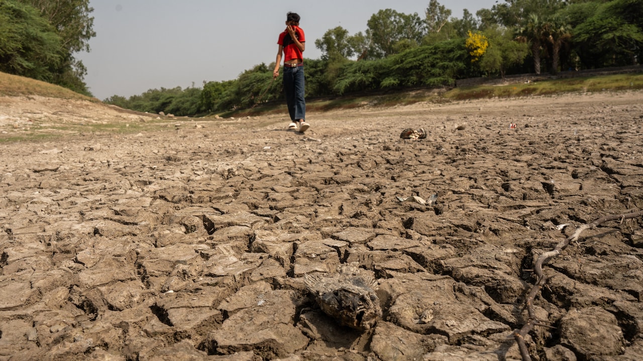 The Driest Monsoon in 17 Years