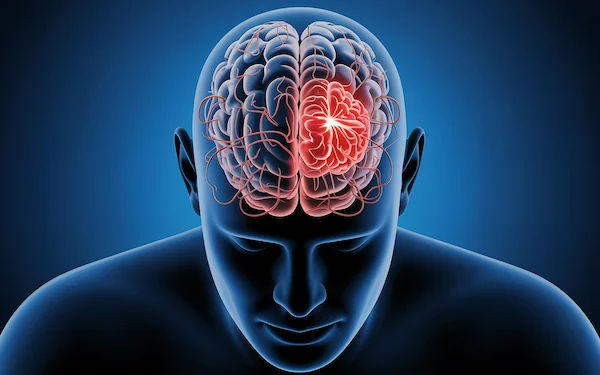 Brain Activity Can Predict Risky Decisions Before They Happen