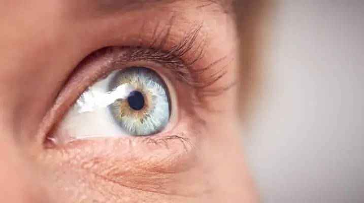 Eye Health After 40