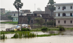Bihar on High Alert as Ganga Crosses Danger Mark, Floodwaters Spread