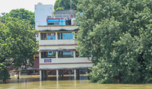 Kosi Floods Worsen in Katihar, Villages Cut Off, Crops Destroyed