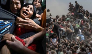 Heartbreaking Incidents