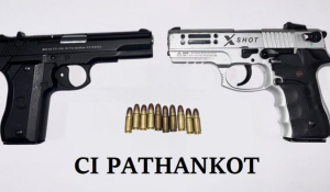 2 Arrested in Pathankot Over Foreign-Linked Killing Plot, Weapons Recovered