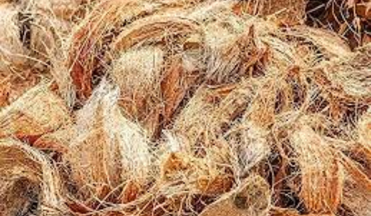 How the Humble Coir is Transforming Rural Lives