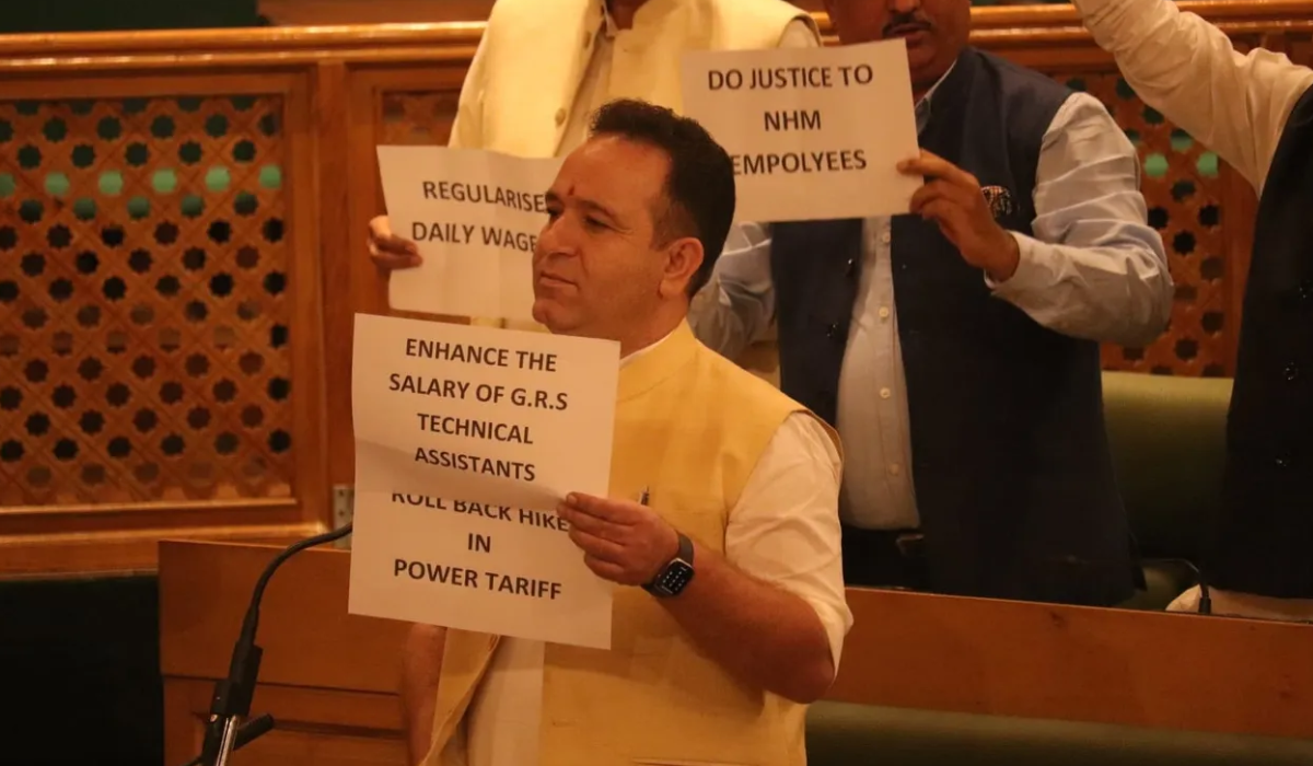 BJP MLAs Protest Power Tariff Hike, Other Issues in J&K Assembly