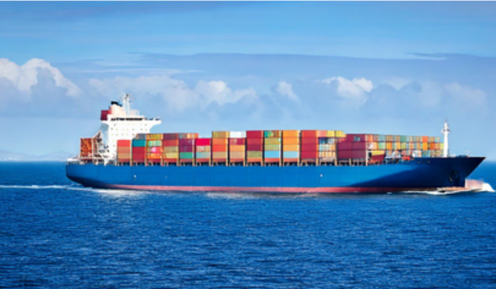 Govt Eases Export Process, Allows Certificates of Origin Through Business Software