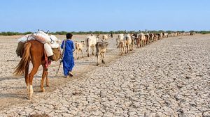 Where Drought is drying more than fields