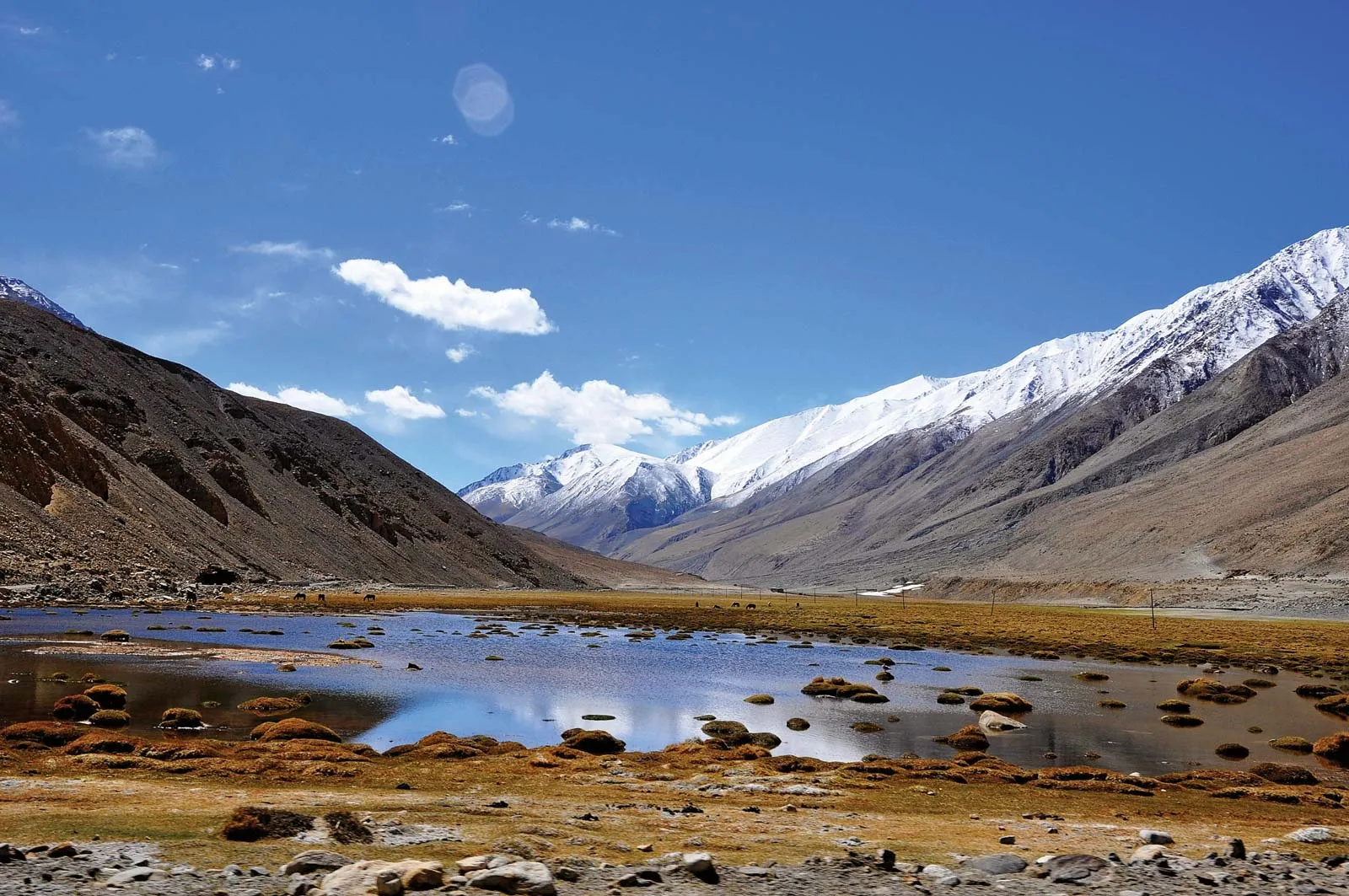 The Indian Himalayan region