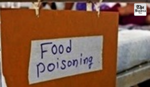 31 students hospitalised after lizard falls into food served at Maha school