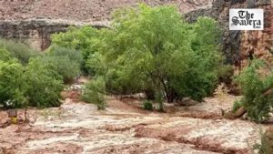 At least two dead after flash flood hits US Grand Canyon; 14 missing
