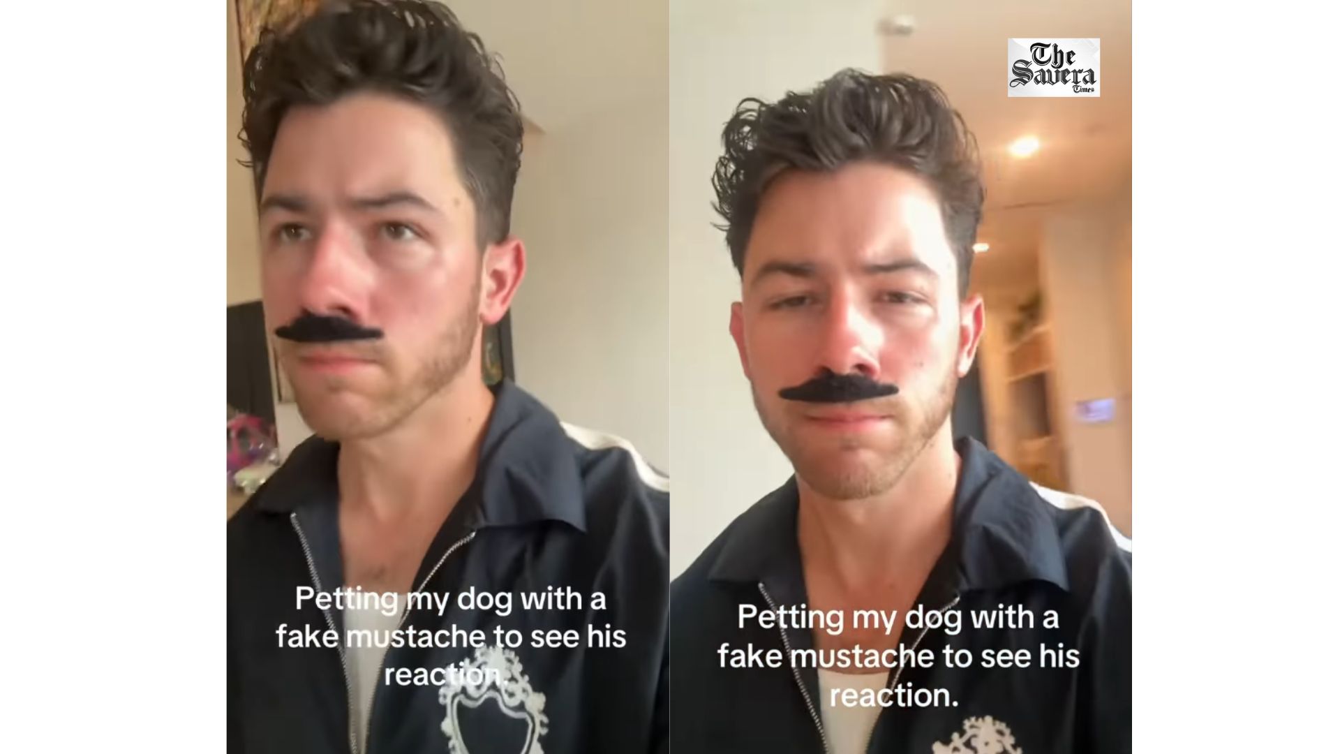 Nick Jonas Pranks His Dog With Fake Moustache, Leaves Him Confused