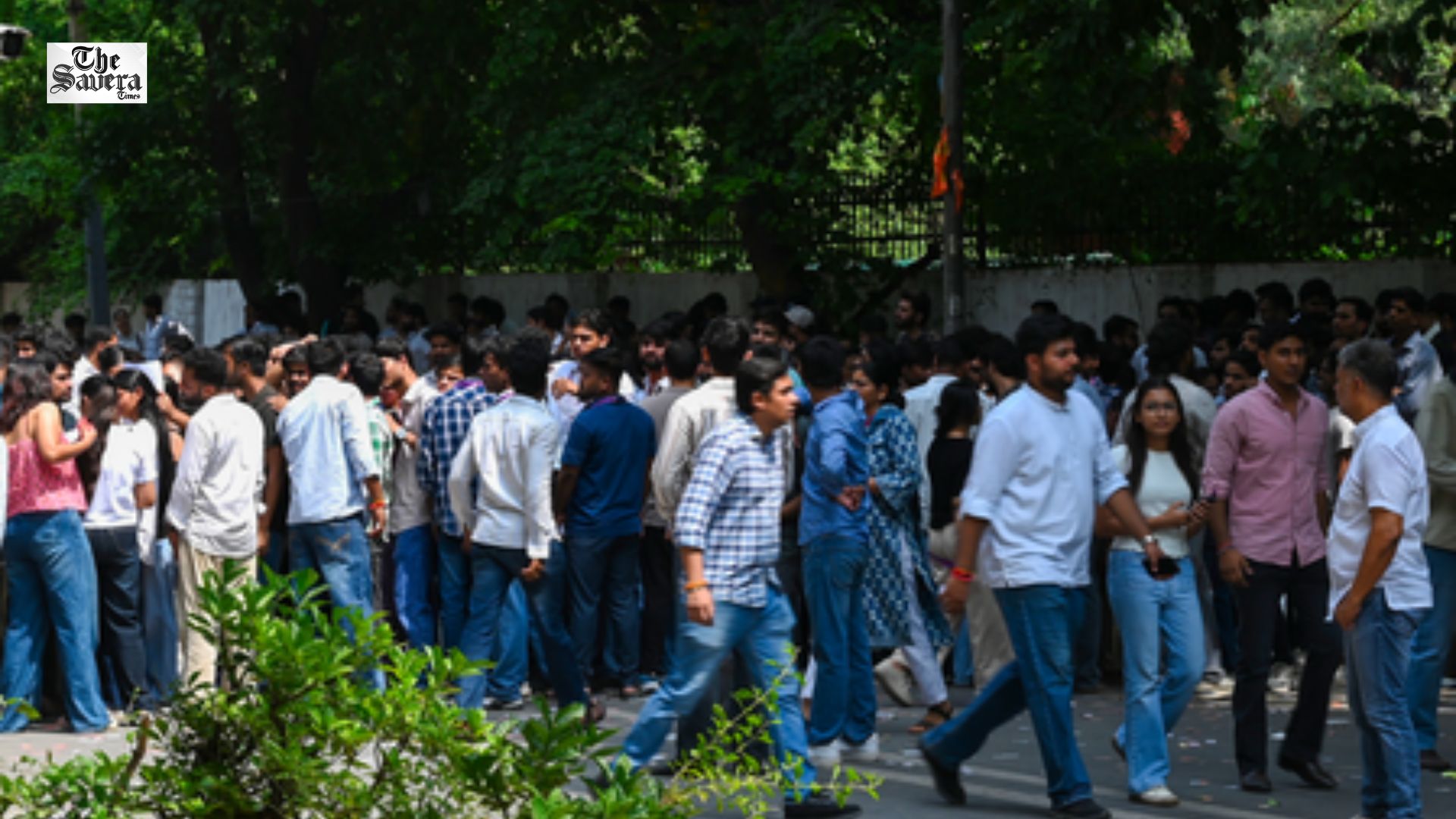 DUSU Elections: Delhi HC Bars Victory Processions, Issues Notice to 140 Candidates