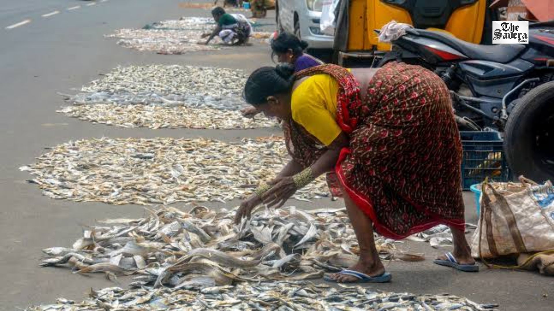 How PM-MKSSY Ensuring India’s Blue Economy