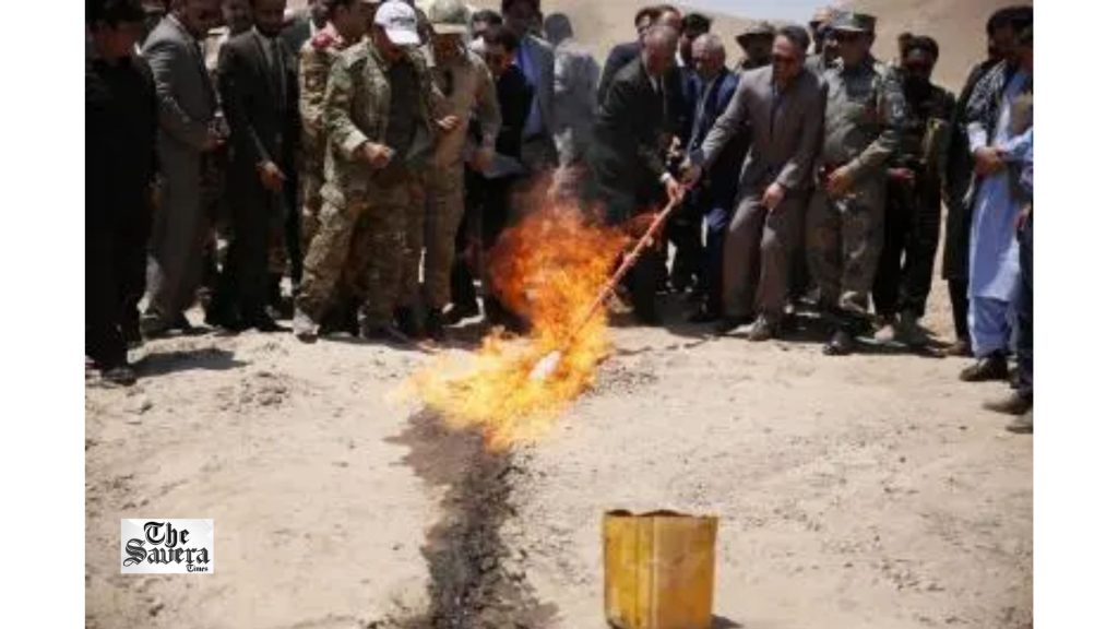 Over 3 Tonnes of Illegal Drugs Destroyed in Afghanistan’s Takhar Province
