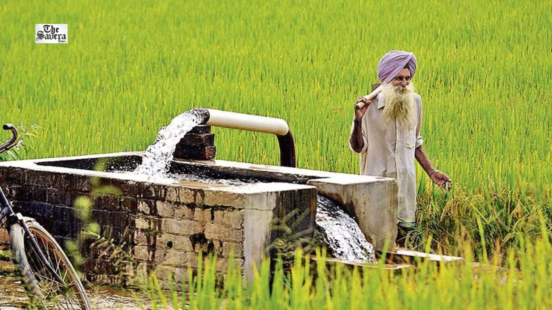 PSPCL Introduces VDS to Regularise Unauthorised Additional Load of Agricultural Tubewells