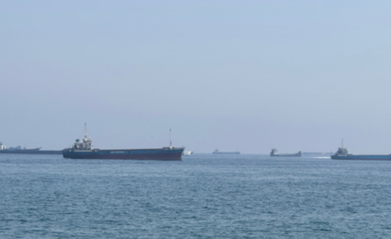 Iran's IRGC says 'violating' oil tanker hit in Hormuz Strait