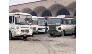 Punjab Bus Services May Be Hit From Sept 22 As 6,500 Contract Workers Plan Indefinite Strike