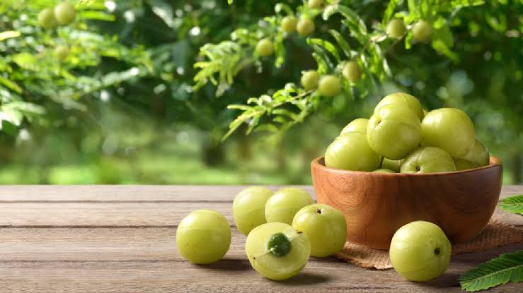 Nature’s Boon for Good Health Amla