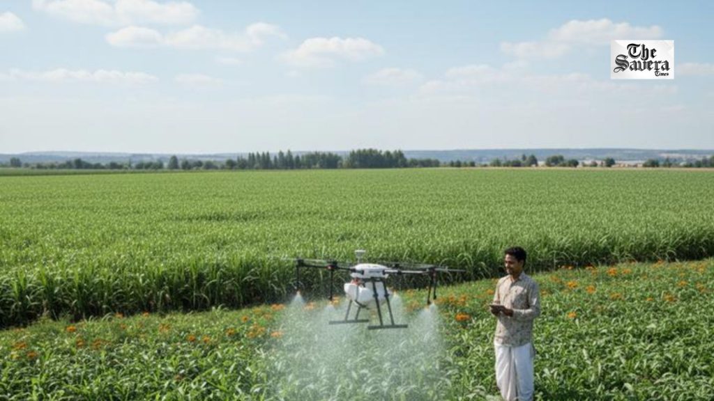 World Food Day Special: From Farm to Market, to Farm to Value