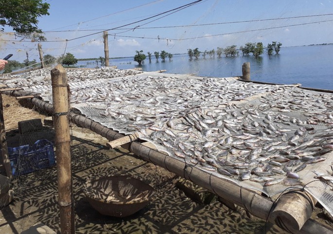 Big Push for Small Inland Fisheries