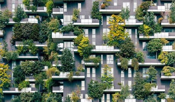 Urban Transformation: Building Greener, More Sustainable Cities