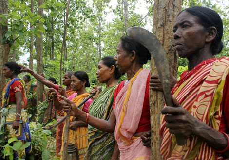 How Gujarat Tribal Village Revived its Forests
