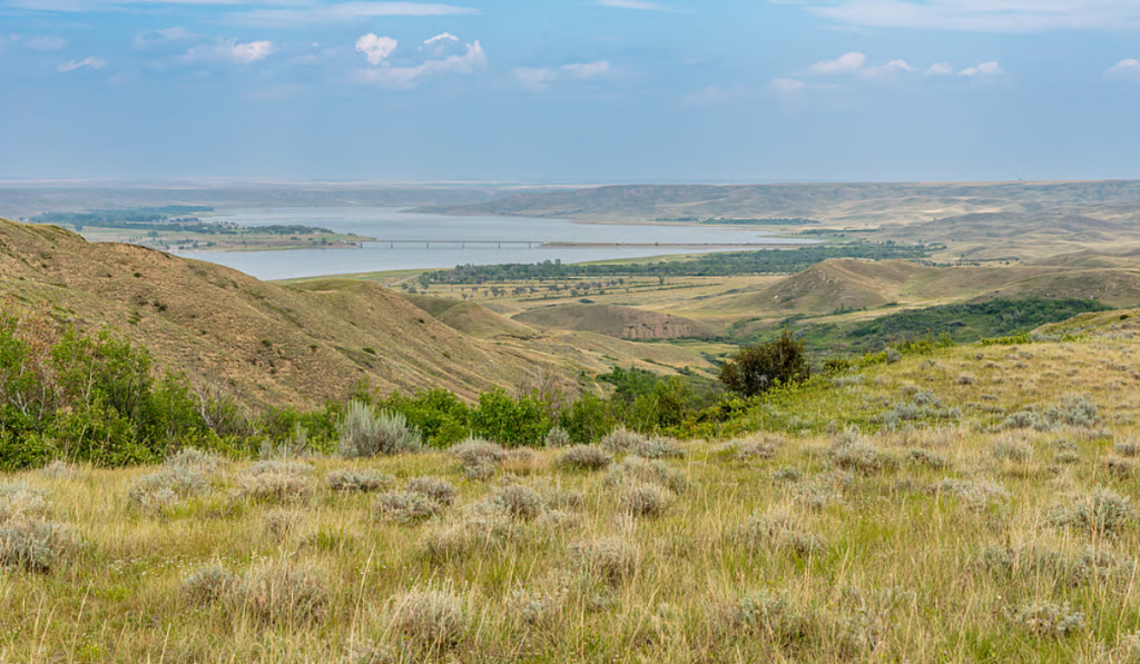 Loss of Diversity in Grasslands