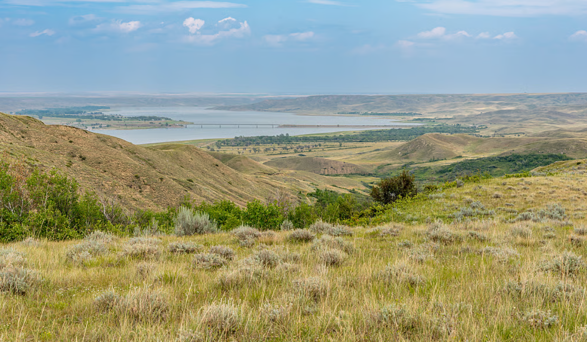 Loss of Diversity in Grasslands
