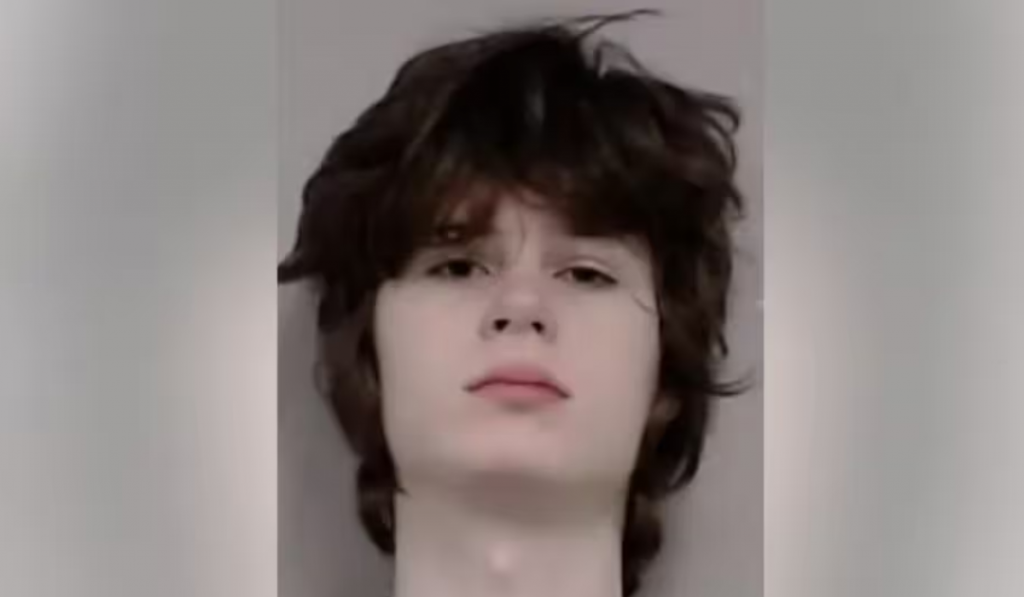 19-year-old man arrested for plotting attack on Hindu temple in US, calling Indians 'Subhumans'