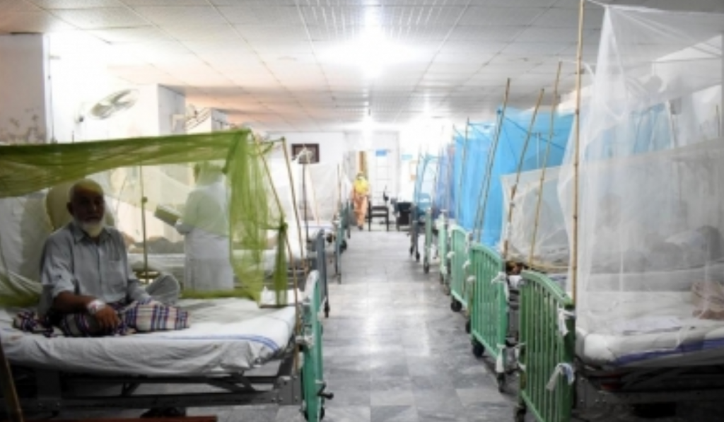 Dengue wreaks havoc in Pakistan's Khyber Pakhtunkhwa, 99 new cases reported in 24 hours