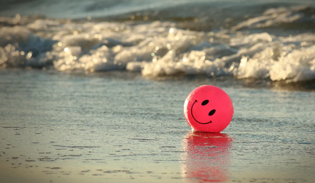 How Life Exists: What is the Secret