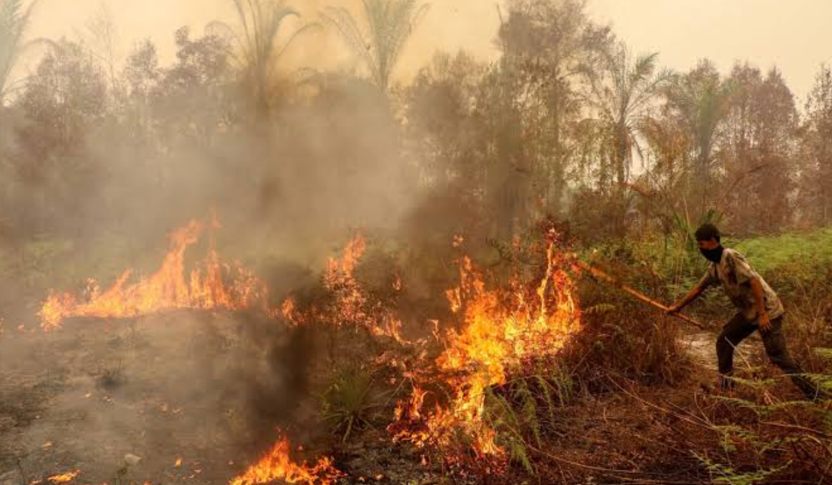 Indonesia Wildfires Choke Southeast Asia