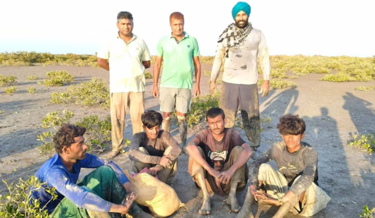 BSF action in Gujarat’s Sir Creek area, 4 Pakistani fishermen arrested, boat seized