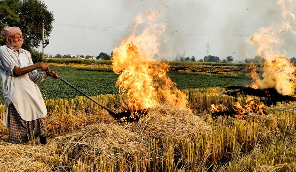 Why Stubble Burning Refuses to Relent?