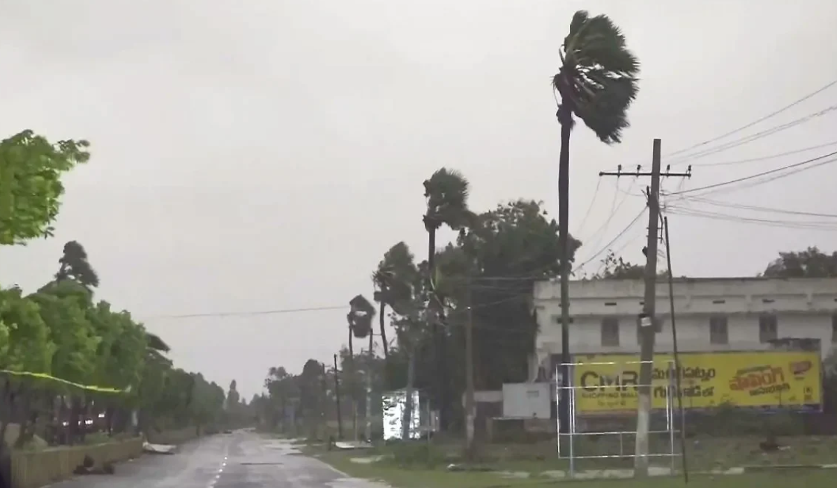 Cyclone Arnab wreaks havoc in Andhra Pradesh, 5 dead; 31 houses damaged