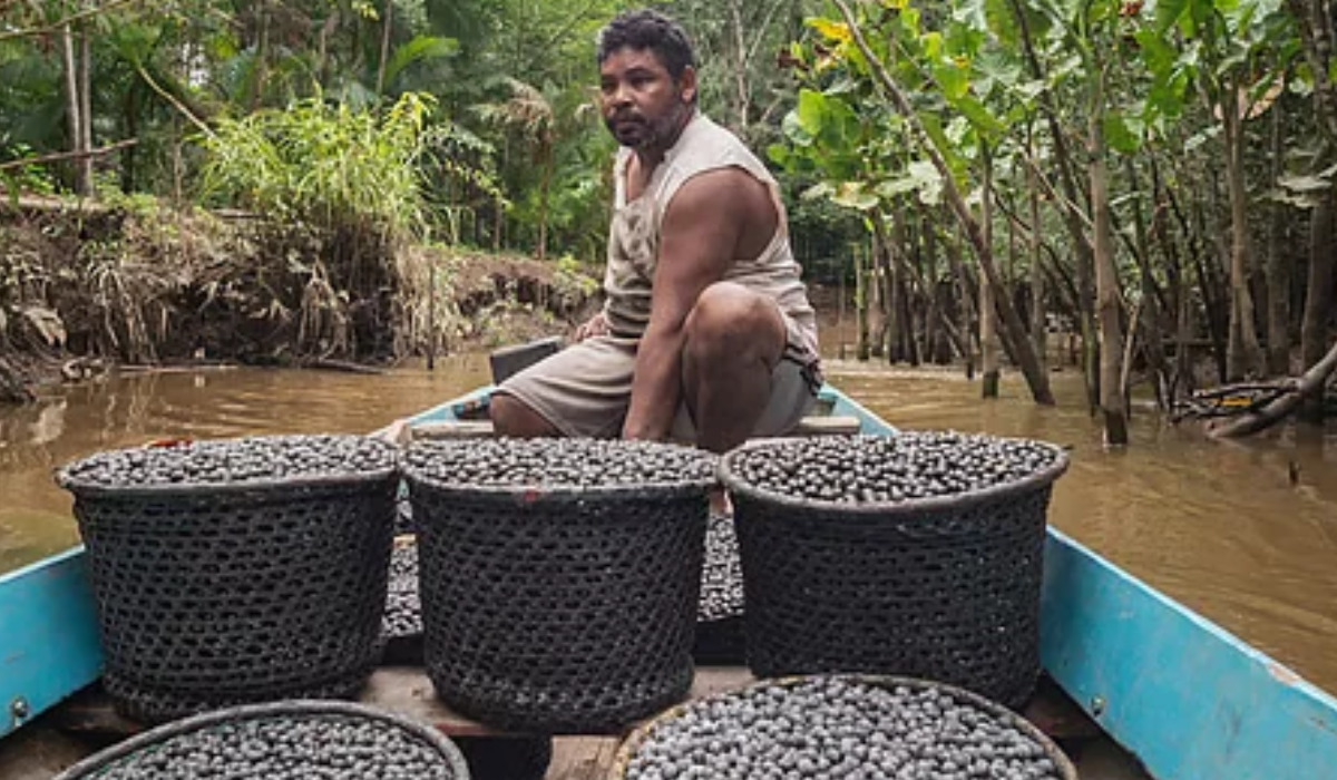 How India Must Plug its Leachate Problem