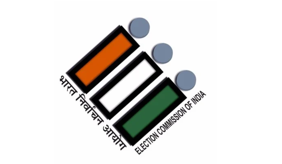 Delhi SIR: Over 97.53 lakh electors figure in draft roll, final voter list on Dec 4