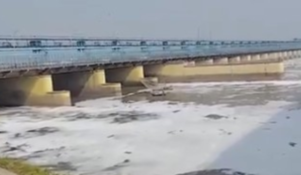 Toxic foam spotted on Yamuna near Kalindi Kunj