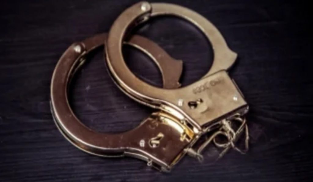 Delhi Police arrest two snatchers, burglars; work out 11 cases
