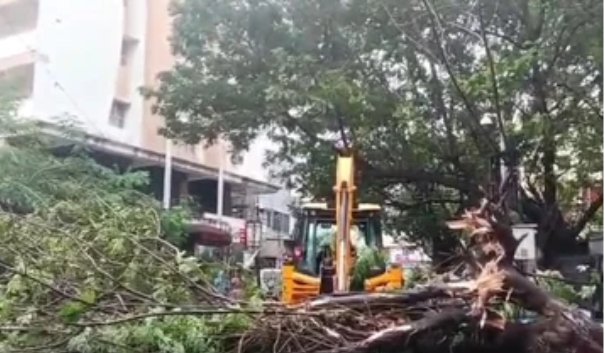 Cyclone ‘Arnab’ makes landfall, heavy rain lashes coastal Andhra