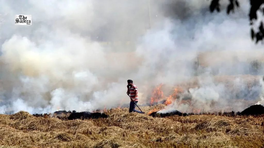 Punjab Stubble Burning: 404 Incidents, 39 FIRs Registered