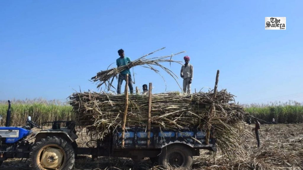 Maharashtra Ethanol Industry Faces Crisis Over Centre’s New Rules