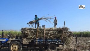 Maharashtra Ethanol Industry Faces Crisis After Centre Restricts Sugarcane-Based Ethanol Purchases